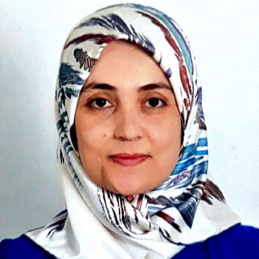 Shirin Adel Ali
